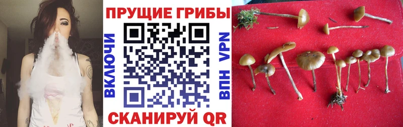 сайты даркнета официальный сайт  Абдулино  Галлюциногенные грибы GOLDEN TEACHER 